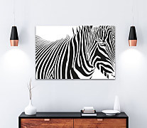 Čiernobiely obraz Zebra 1773